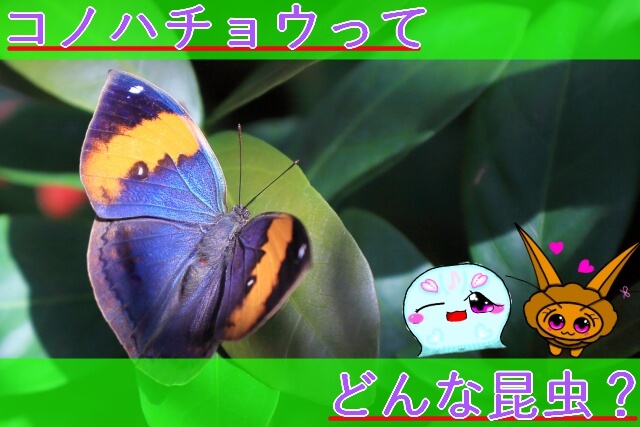 Thumbnail of post image 181